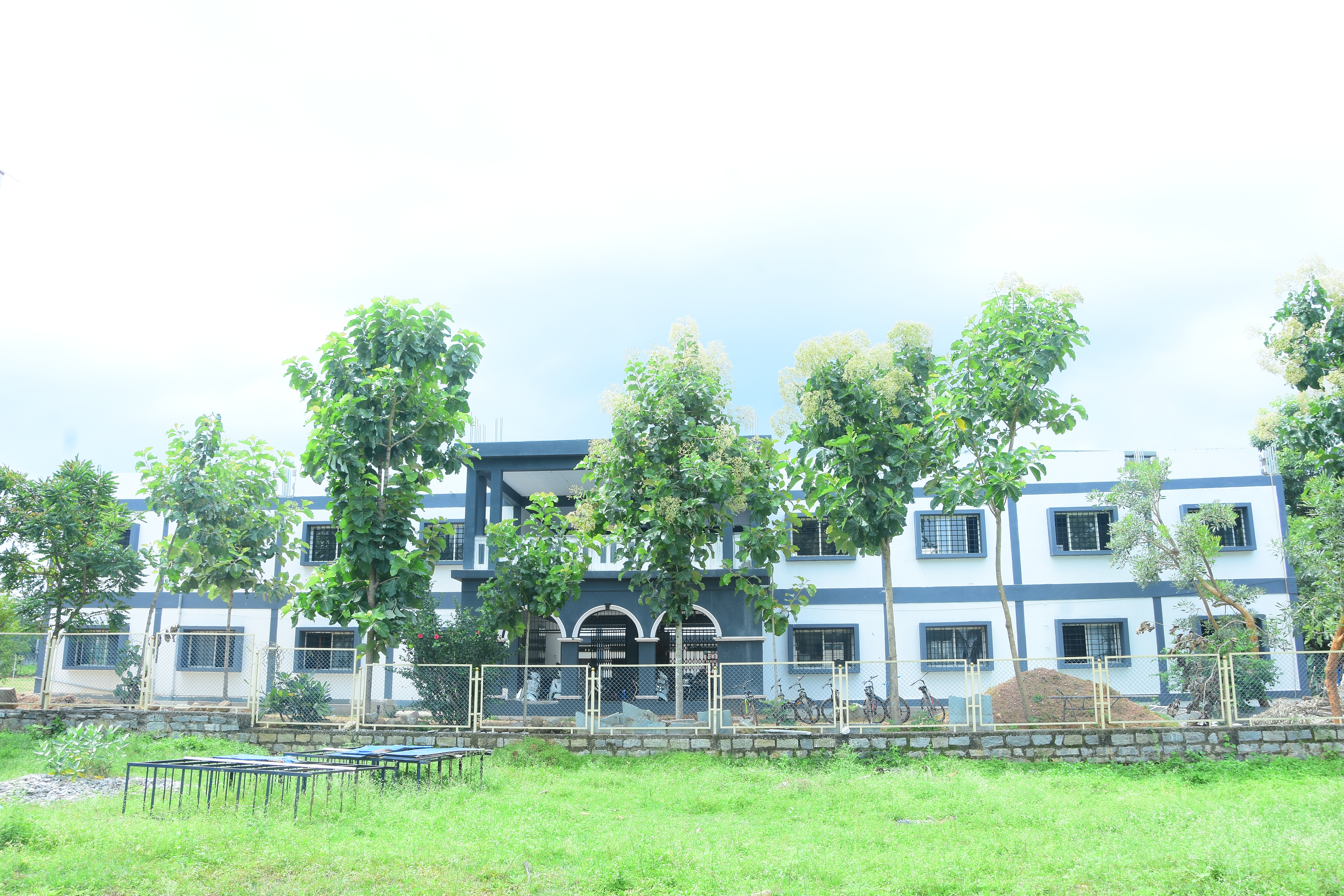 School Life